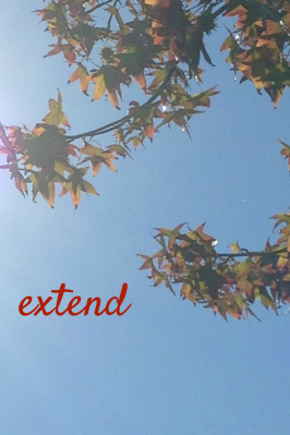 extend